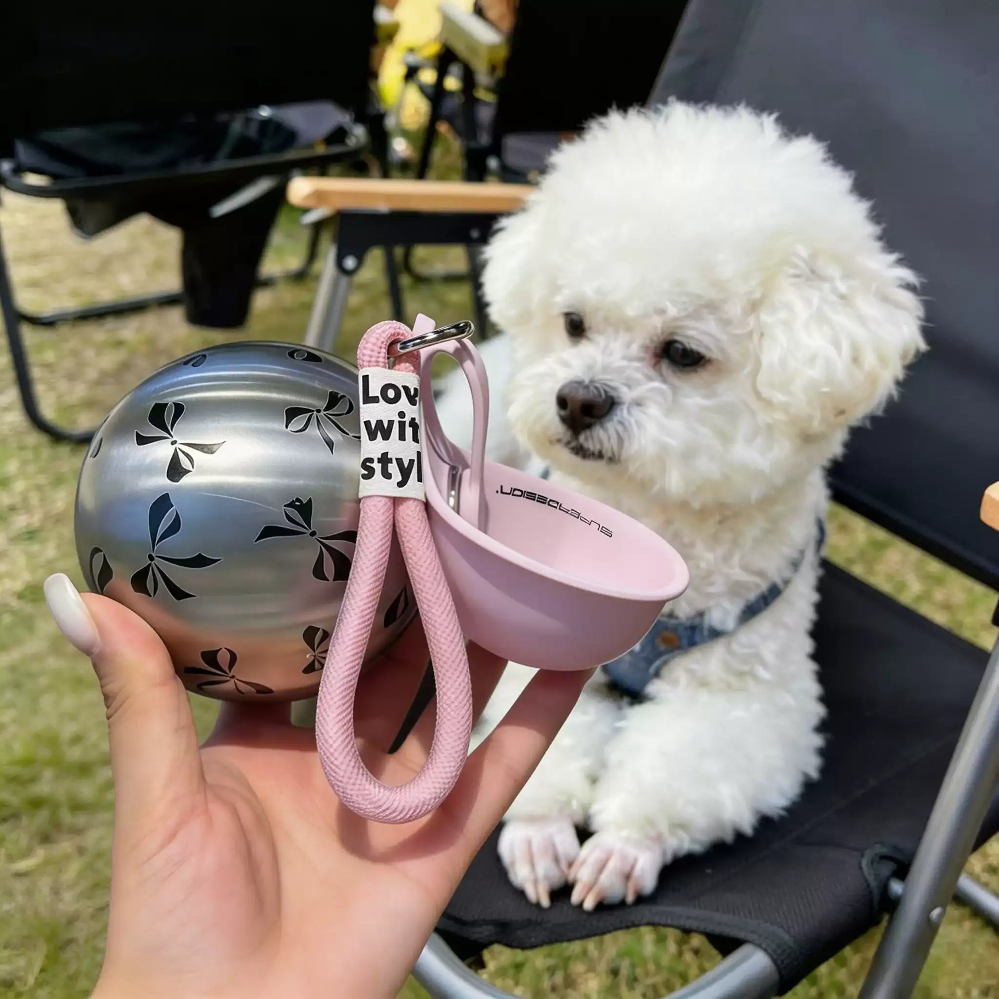 2-in-1 Portable Dog Water Bottle for Small Dogs🐶